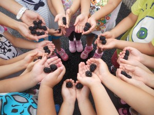 DSCN3924