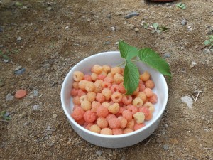 DSCN3855
