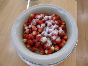 DSCN9197
