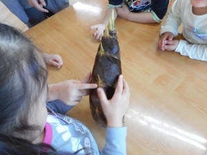 DSCN0035